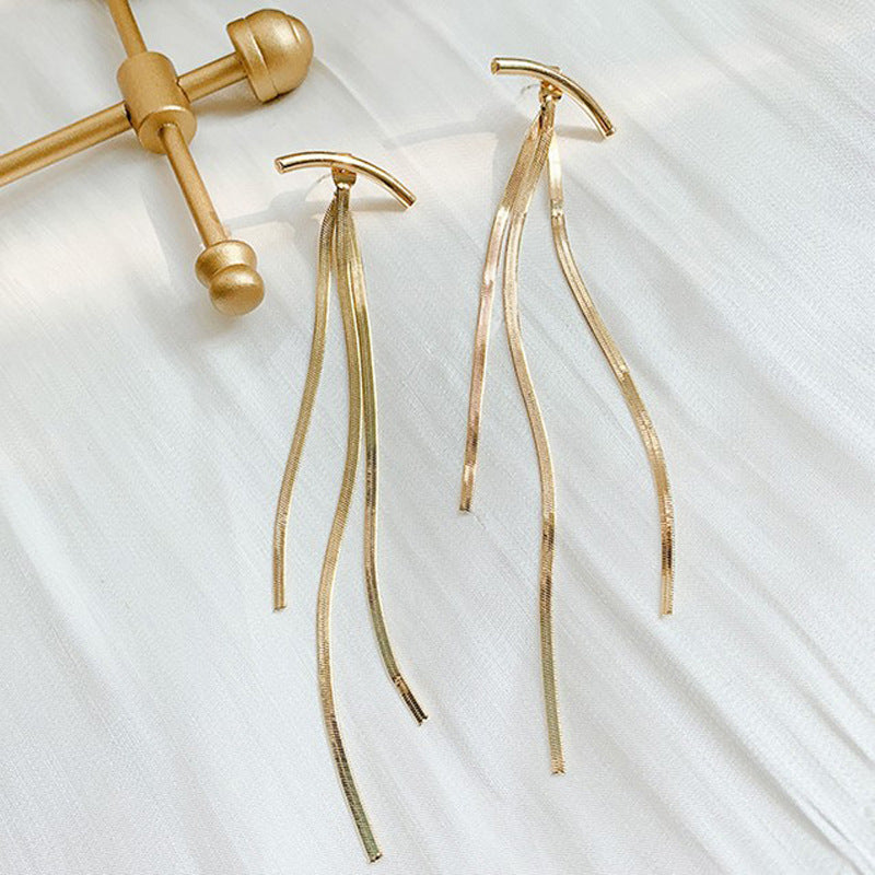 Metal Snake Bone Double-Sided Earrings