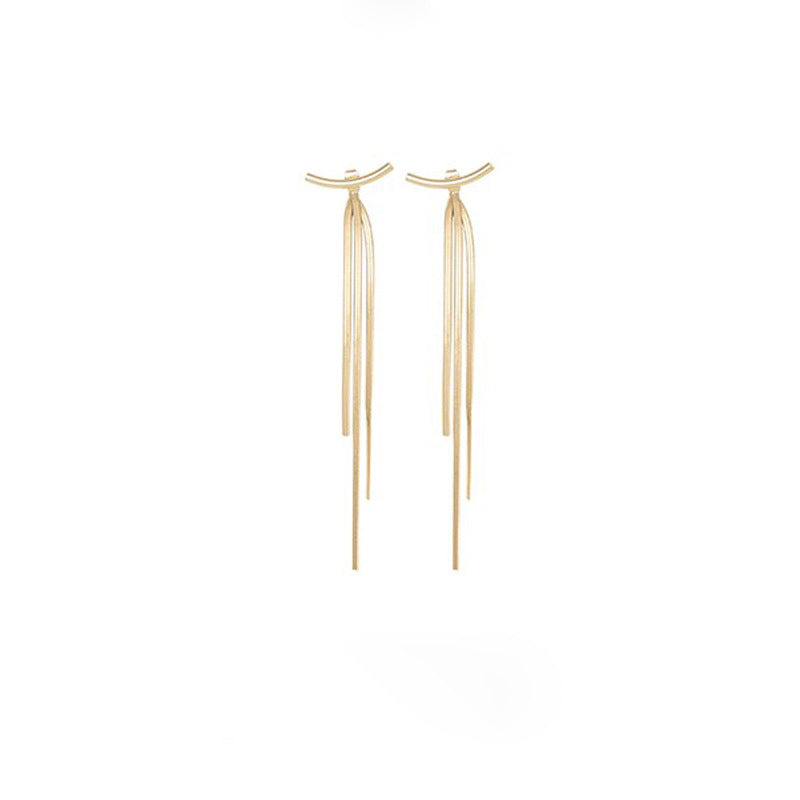 Metal Snake Bone Double-Sided Earrings